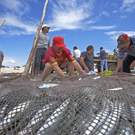 キャンプ場 Parque De Campismo Orbitur Vagueira Gafanha da Boa Hora