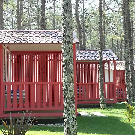 キャンプ場 Parque De Campismo Orbitur Vagueira 3*